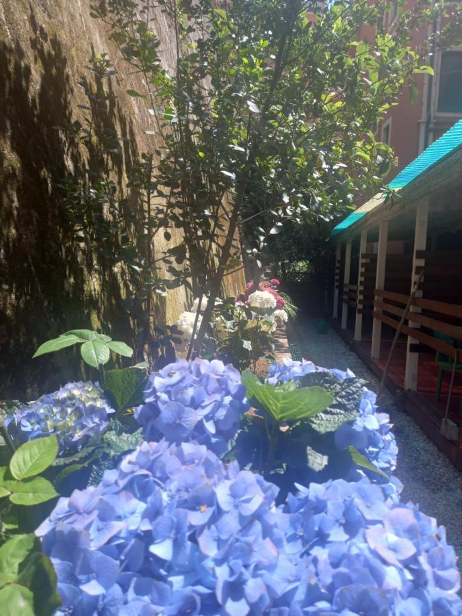 Curpi De Ma Otel Bonassola Dış mekan fotoğraf