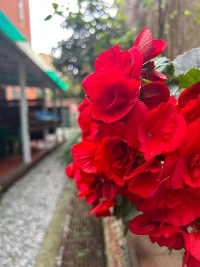 Curpi De Ma Otel Bonassola Dış mekan fotoğraf